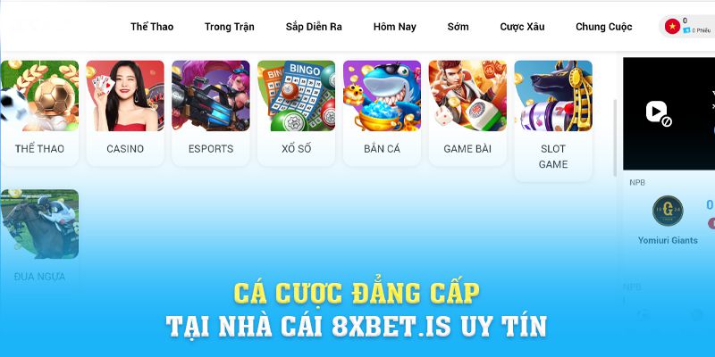 Cá cược đẳng cấp tại nhà cái 8xbet.is uy tín