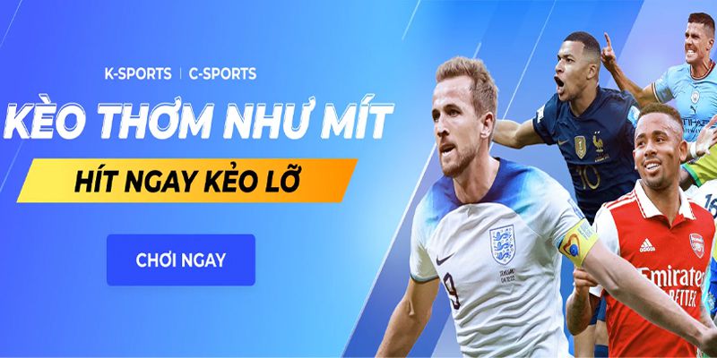 Đôi nét về nhà cái 8xbet 8xbet.cx