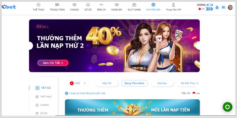 Tìm hiểu nhà cái 8xbet kiwi