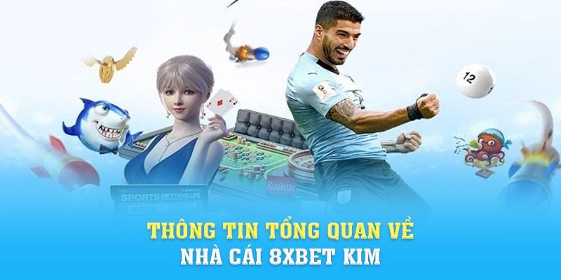 Thông tin tổng quan về nhà cái 8xbet kim